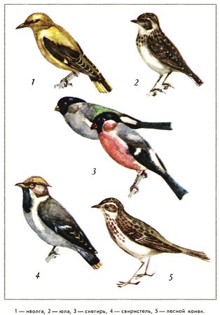 Юрий Дмитриев - Путешествие на всю жизнь