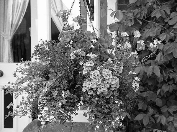 Анна Павловская - 5 O’clock и другие традиции Англии