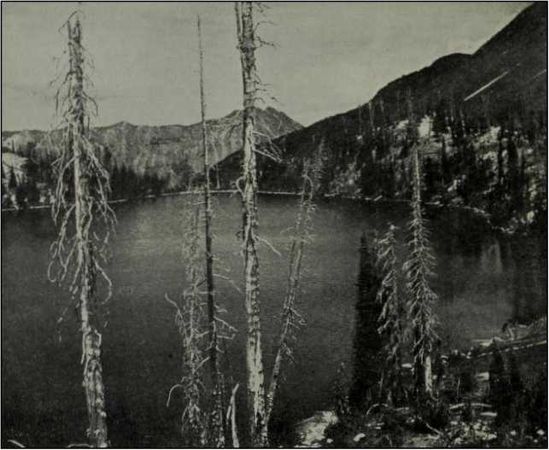 Коллектив авторов, Михаил Фоменко - Великий зверь Кафуэ