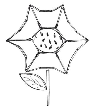 Светлана Ращупкина - Удивительные поделки из спичек