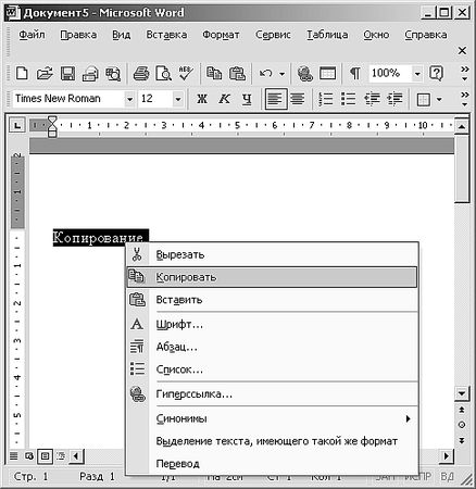 Роман Кравцов - Домашний компьютер