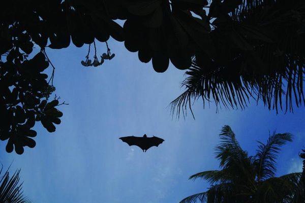 А. Корякина - Дорога в облаках