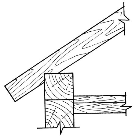 Аурика Луковкина - Архитектура и устройство крыши
