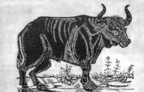 Игорь Акимушкин - Трагедия диких животных