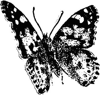 Виктор Гребенников - Тайны мира насекомых