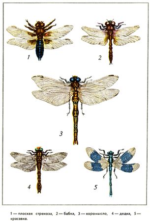 Юрий Дмитриев - Путешествие на всю жизнь