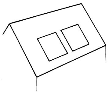 Аурика Луковкина - Архитектура и устройство крыши