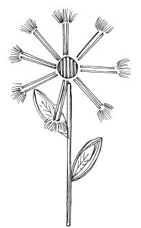 Светлана Ращупкина - Удивительные поделки из спичек