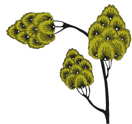 Андрей Рогач (Анро) - 21 стакан. Истории Йогеша, записанные Анро