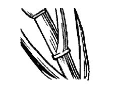 Ирина Трущ - Винный Этикет