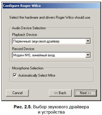 Сергей Фрузоров - Бесплатные разговоры через Интернет