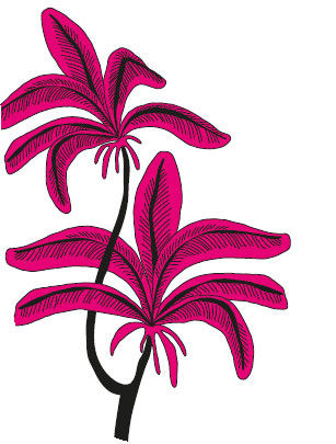 Андрей Рогач (Анро) - 21 стакан. Истории Йогеша, записанные Анро