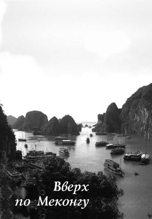 Елена Федорова - Вверх по Меконгу (сборник)