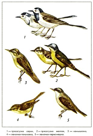 Юрий Дмитриев - Путешествие на всю жизнь