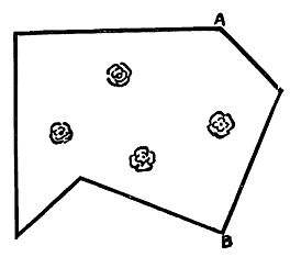 Генри Дьюдени - Кентерберийские головоломки