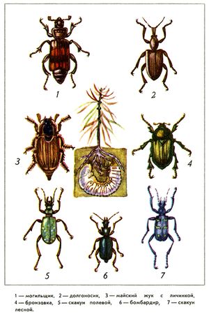 Юрий Дмитриев - Путешествие на всю жизнь