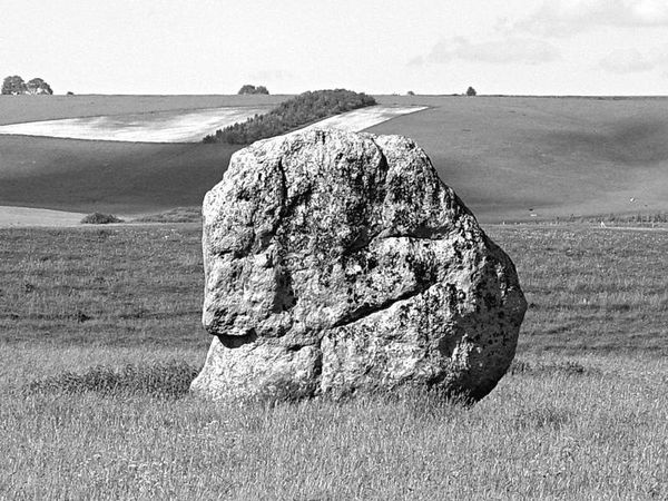 Анна Павловская - 5 O’clock и другие традиции Англии