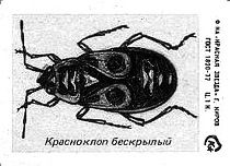 Вячеслав Ладогин - Спички