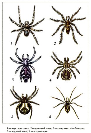 Юрий Дмитриев - Путешествие на всю жизнь