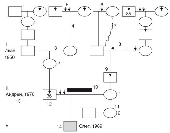 Валерий Докучаев, Лариса Докучаева - Власть Рода. Родовые программы и жизненные...