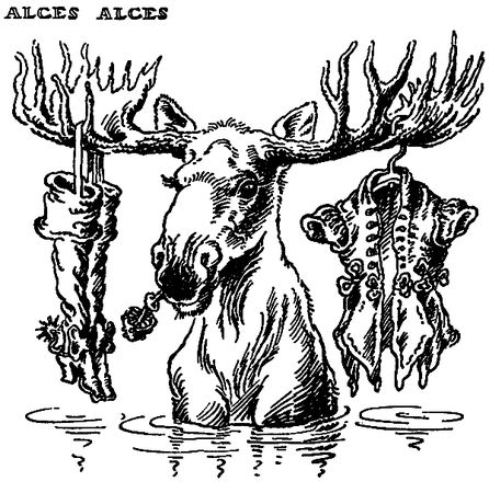 Станислав Старикович - Зверинец у крыльца