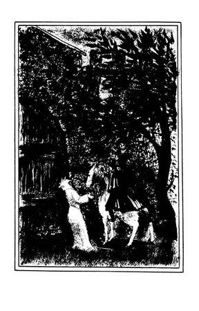 Александр Дюма - Соратники Иегу