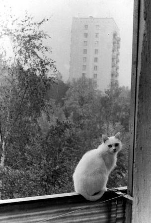 Ирина Галкина - Моя жизнь