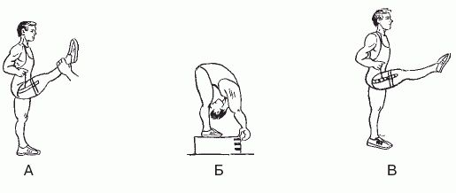 Леонид Дворкин - Подготовка юного тяжелоатлета