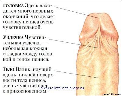 Дорин Мэсси - "Энциклопедия секса": Откровения обо всем: Секс и вы