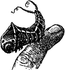 Виктор Гребенников - Тайны мира насекомых