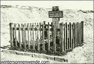 Герман Биллунг - Альберт Лео Шлагетер - герой немецкой освободительной войны