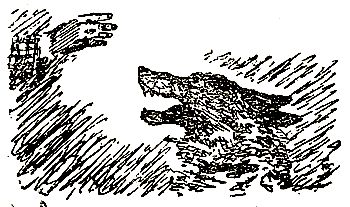 Евгений Чарушин - Охотничьи рассказы