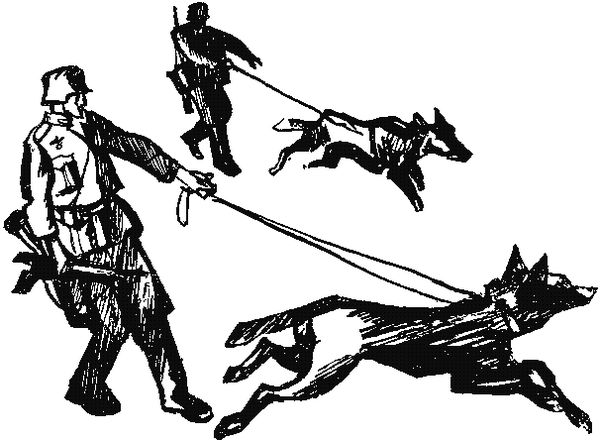 Владимир Прибытков - Потерянный экипаж