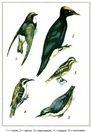 Юрий Дмитриев - Путешествие на всю жизнь