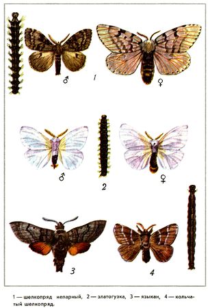 Юрий Дмитриев - Путешествие на всю жизнь