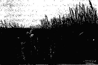 Юлия Головнина - На Памирах. Записки русской путешественницы