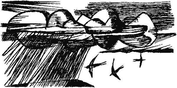 Владимир Прибытков - Потерянный экипаж