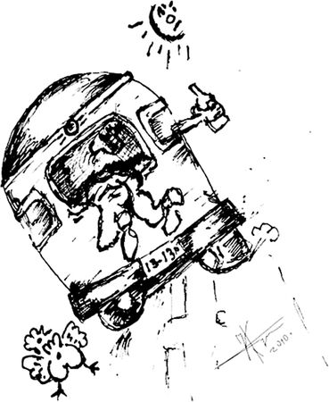 ИванычЪ - Вечнозеленые помидоры