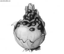 Ирина Иофина - Сбор и хранение урожая