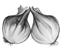 Ирина Иофина - Сбор и хранение урожая