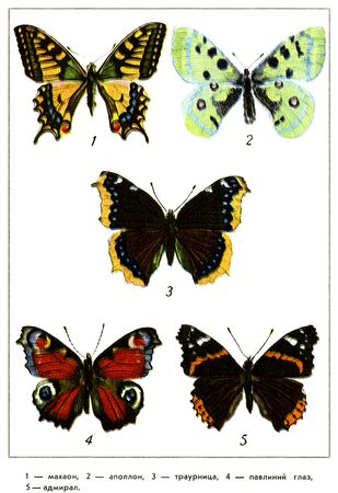 Юрий Дмитриев - Путешествие на всю жизнь