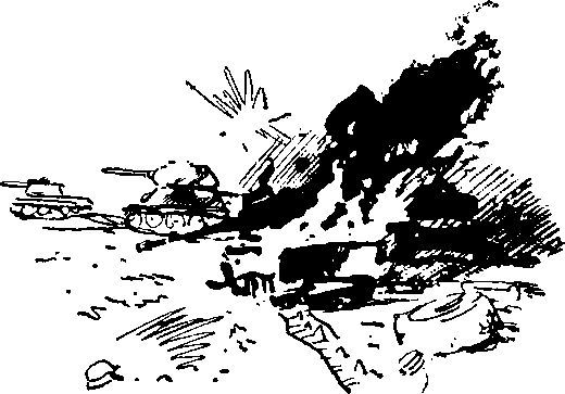 Юрий Жуков - Укрощение "тигров"