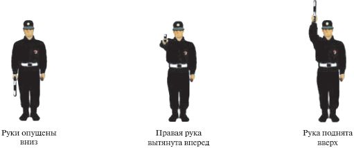 Оксана Усольцева - Правила дорожного движения 2012. Новая таблица штрафов