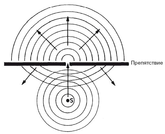 Джон Гриббин - В поисках кота Шредингера. Квантовая физика и реальность