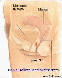 Дорин Мэсси - "Энциклопедия секса": Откровения обо всем: Секс и вы