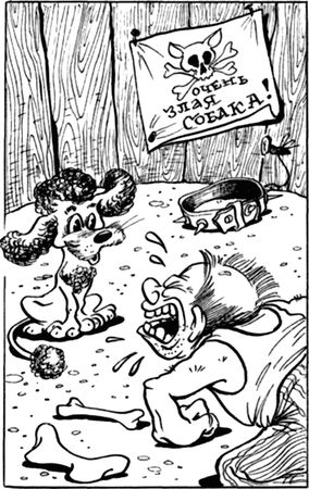 Программирование в среде Турбо Паскаль