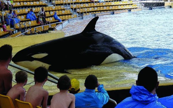 А. Корякина - Дорога в облаках