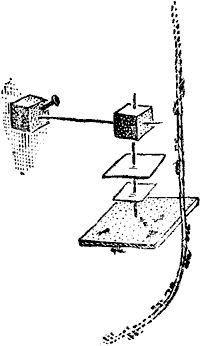 Виктор Гребенников - Тайны мира насекомых
