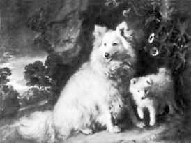 Джон Бергер - Искусство видеть