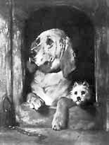 Джон Бергер - Искусство видеть